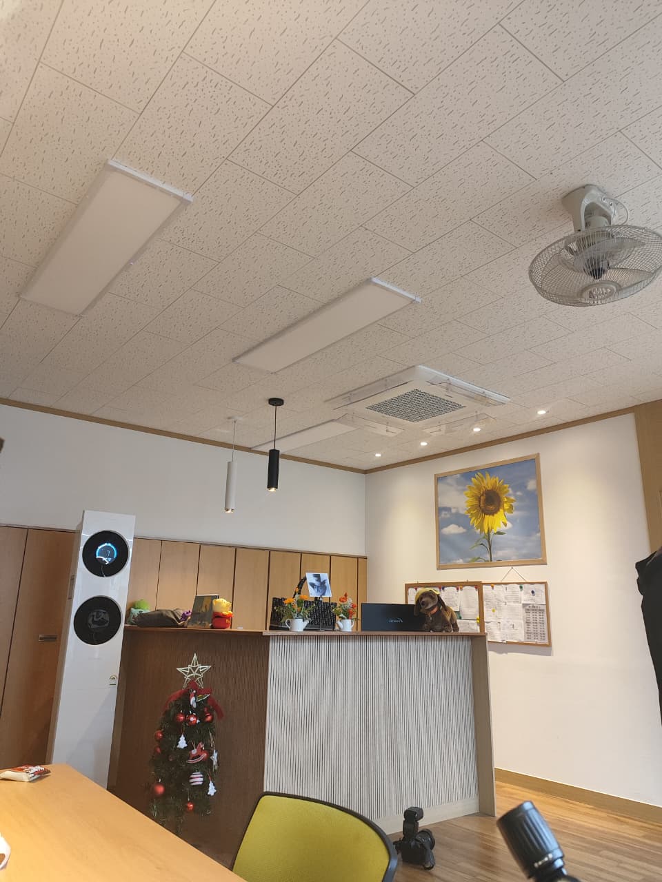 Catatan Harian Annyeonghaseyo Minggu ke 8