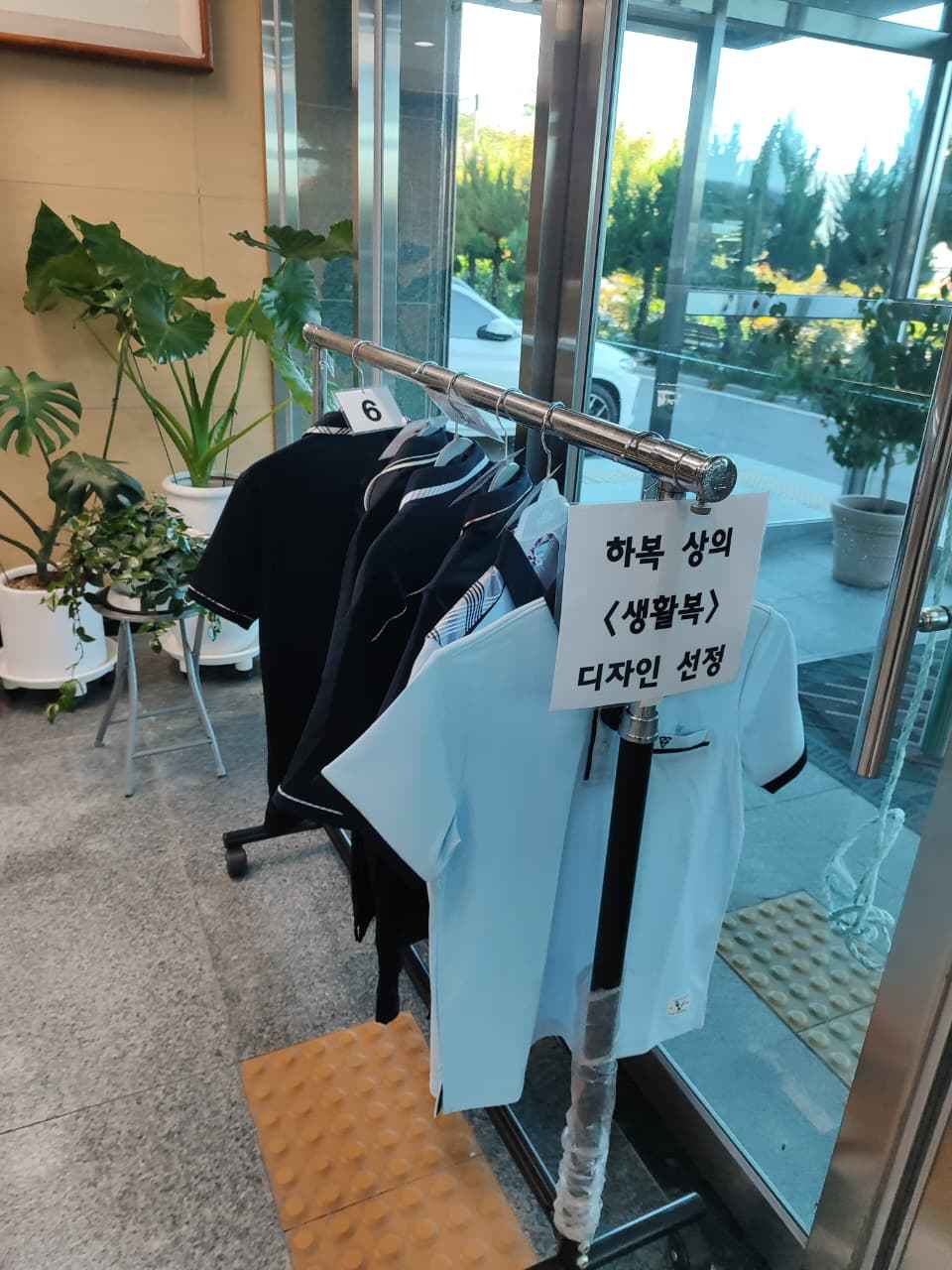 Minggu ke 9 Menikmati Musim Gugur di Korea