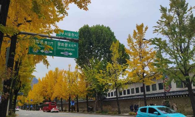 Perjalanan ke Seoul Bersama IKTE 2025 Yang Tak Terlupakan